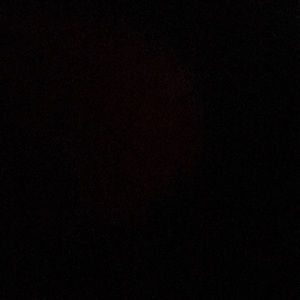 Meet your Posher, Pat